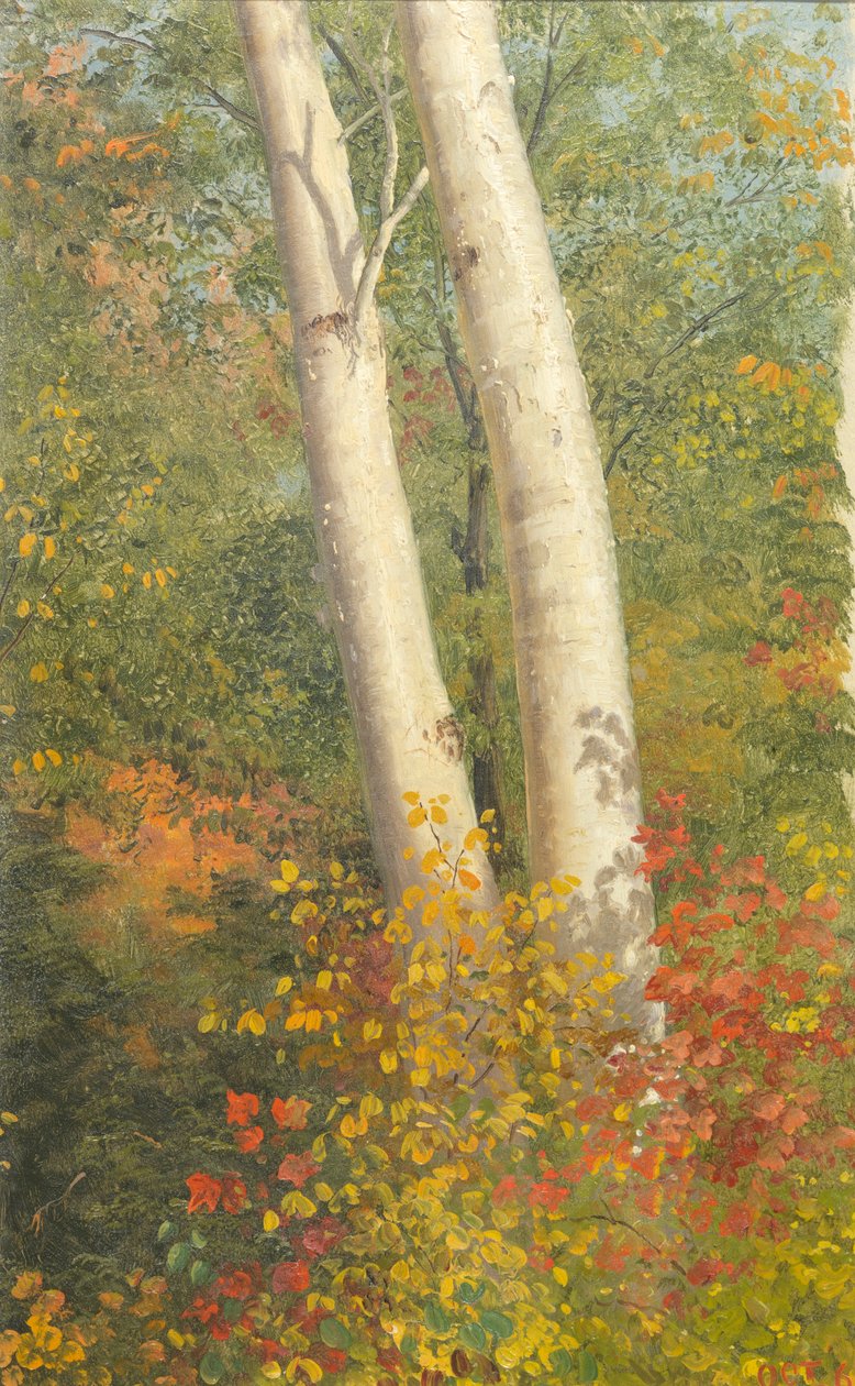 Birketræer i efteråret af Frederic Edwin Church