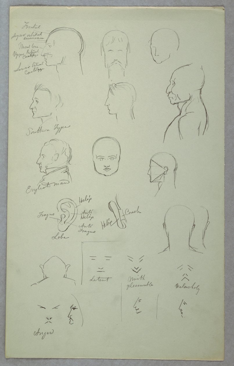 Tegning, anatomiske studier, 1865-70 af Frederic Edwin Church