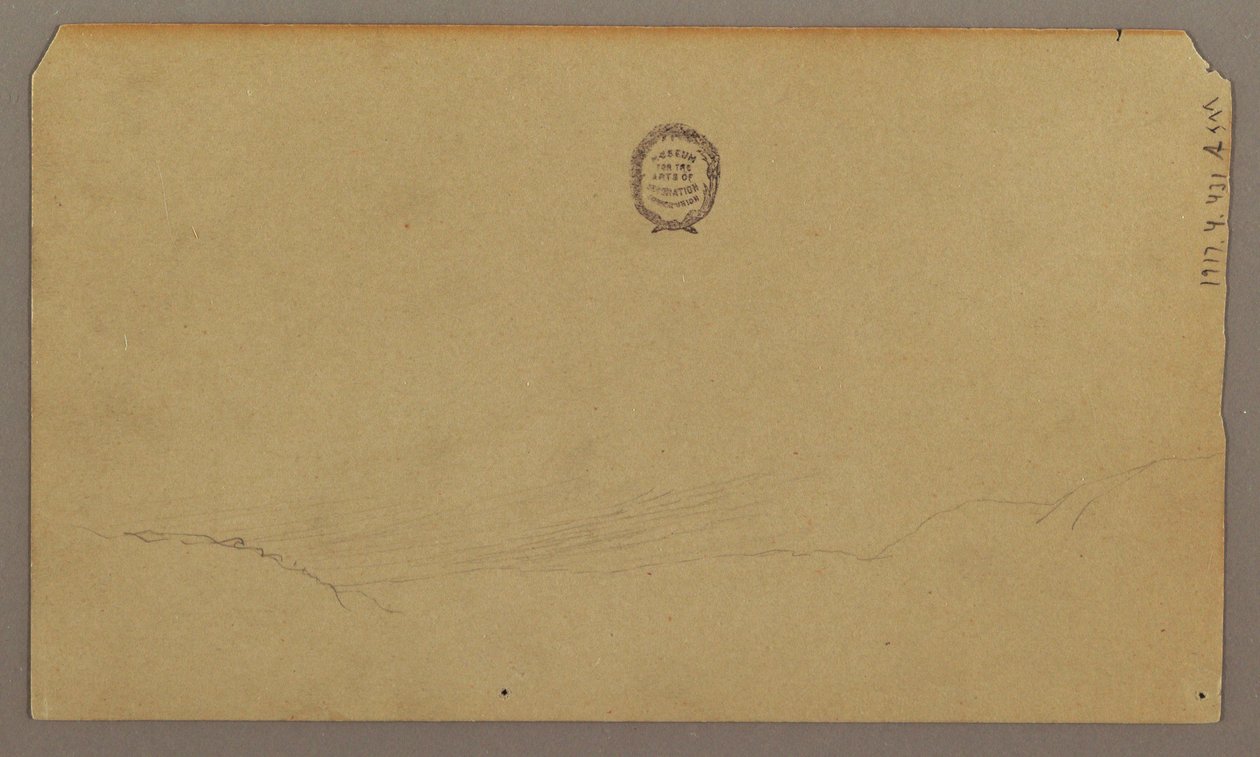 Tegning, botaniske skitser, august 1865 af Frederic Edwin Church
