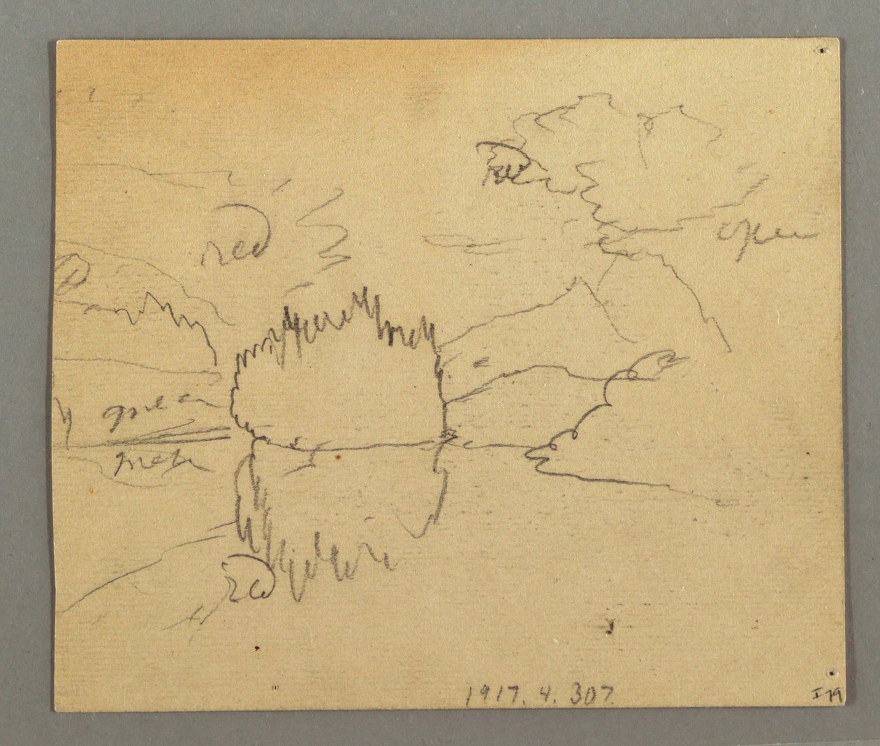Tegning, Døde træer, plante, muligvis 1868 af Frederic Edwin Church