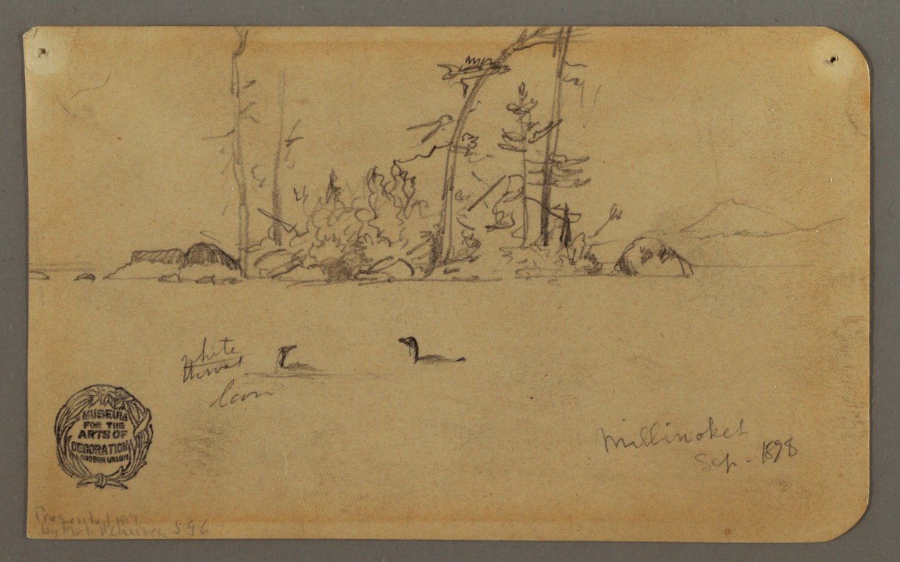 Tegning, Ø, To lomvier, 1878 af Frederic Edwin Church