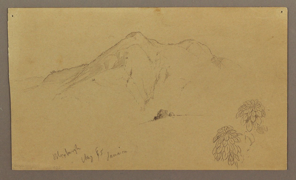 Tegning, landskab, planter, Bloxburgh, august 1865 af Frederic Edwin Church