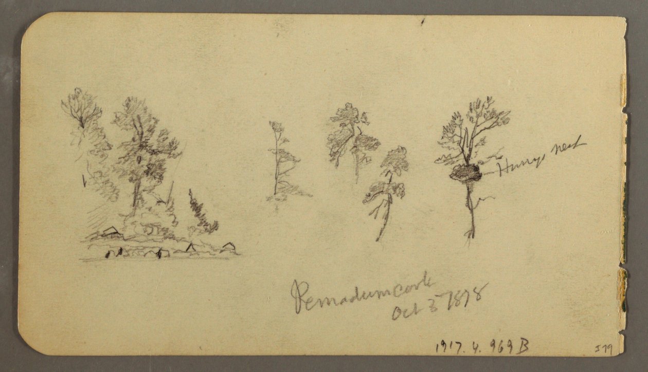 Tegning, studier af fyrretræer, 1878 af Frederic Edwin Church
