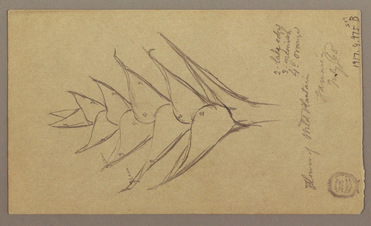 Tegning, havlandskab, 29. april 1865 af Frederic Edwin Church