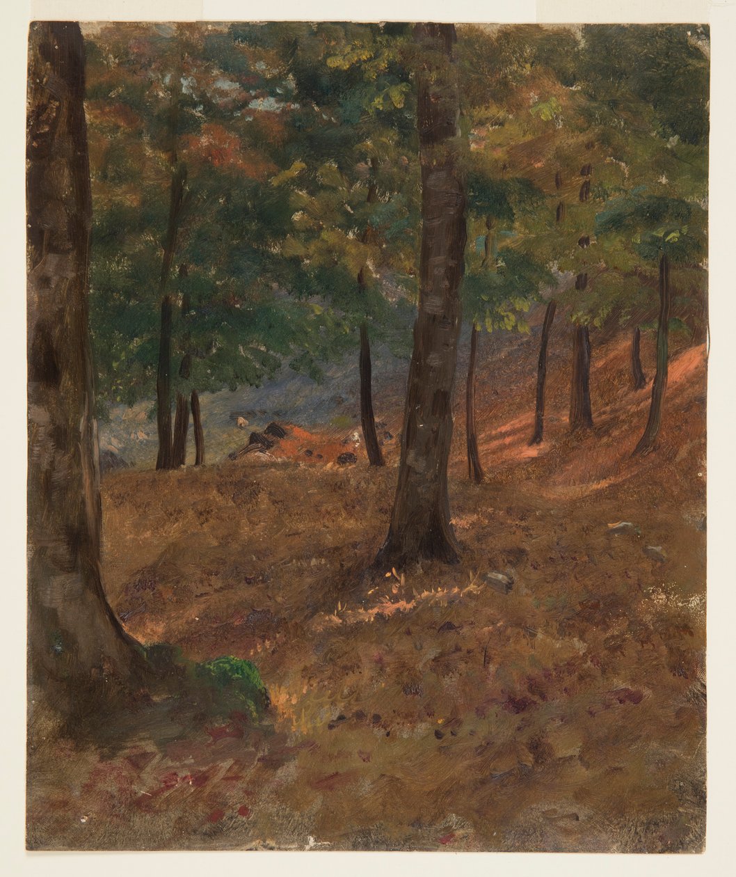 Tegning, skovbillede, 1870-80 af Frederic Edwin Church