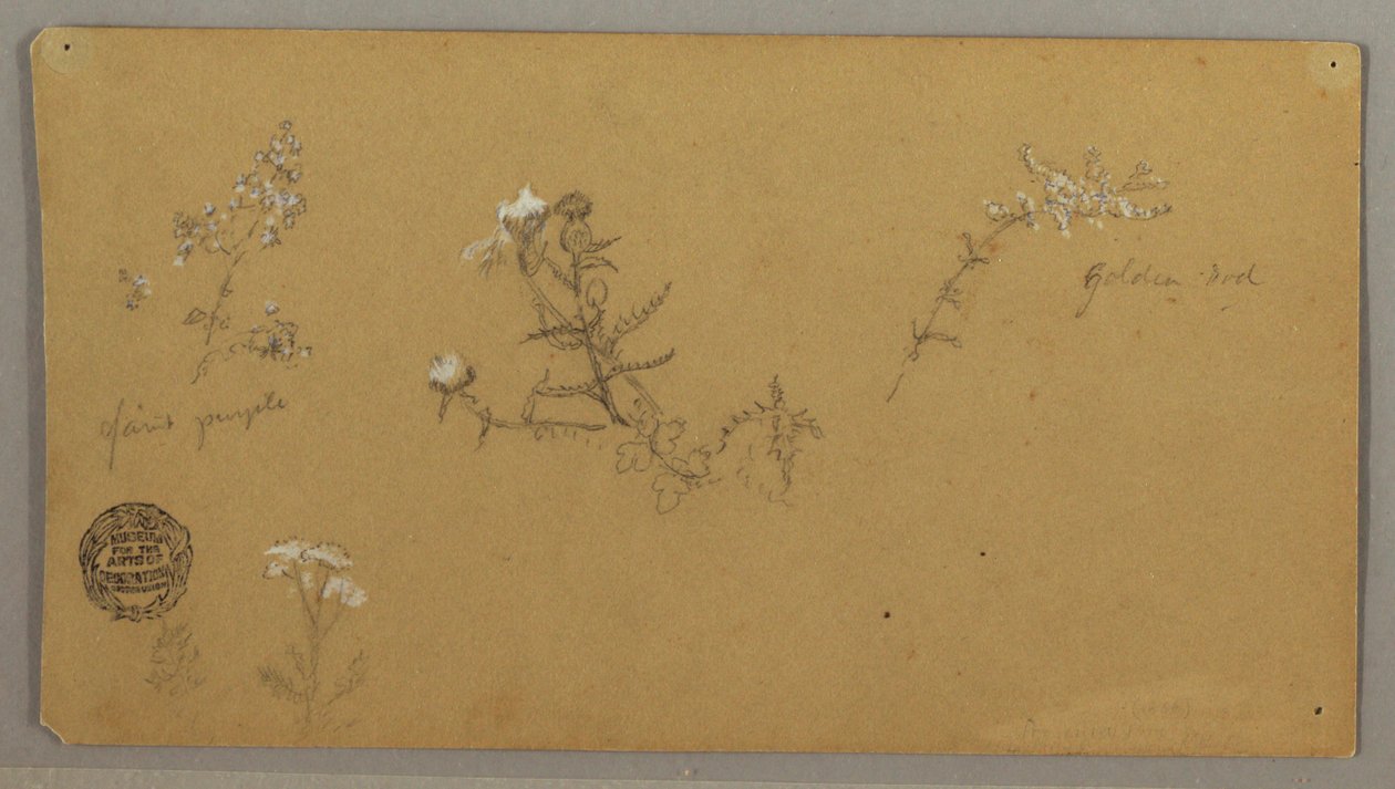Blomstrende Planter af Frederic Edwin Church