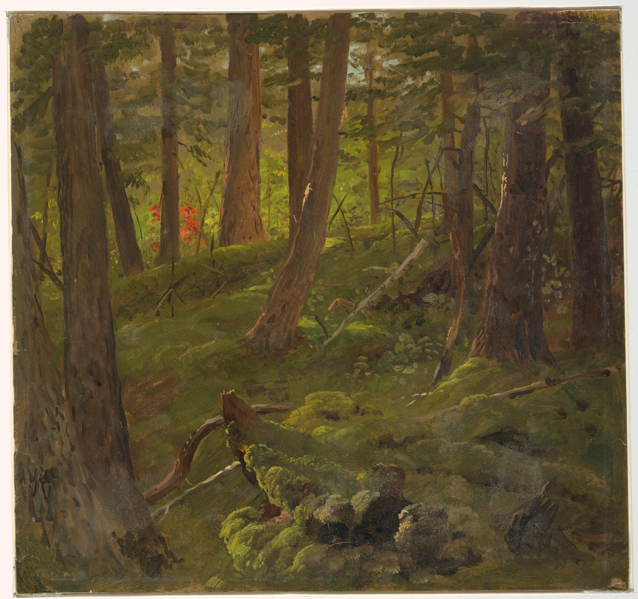 Skov i Jamaica af Frederic Edwin Church