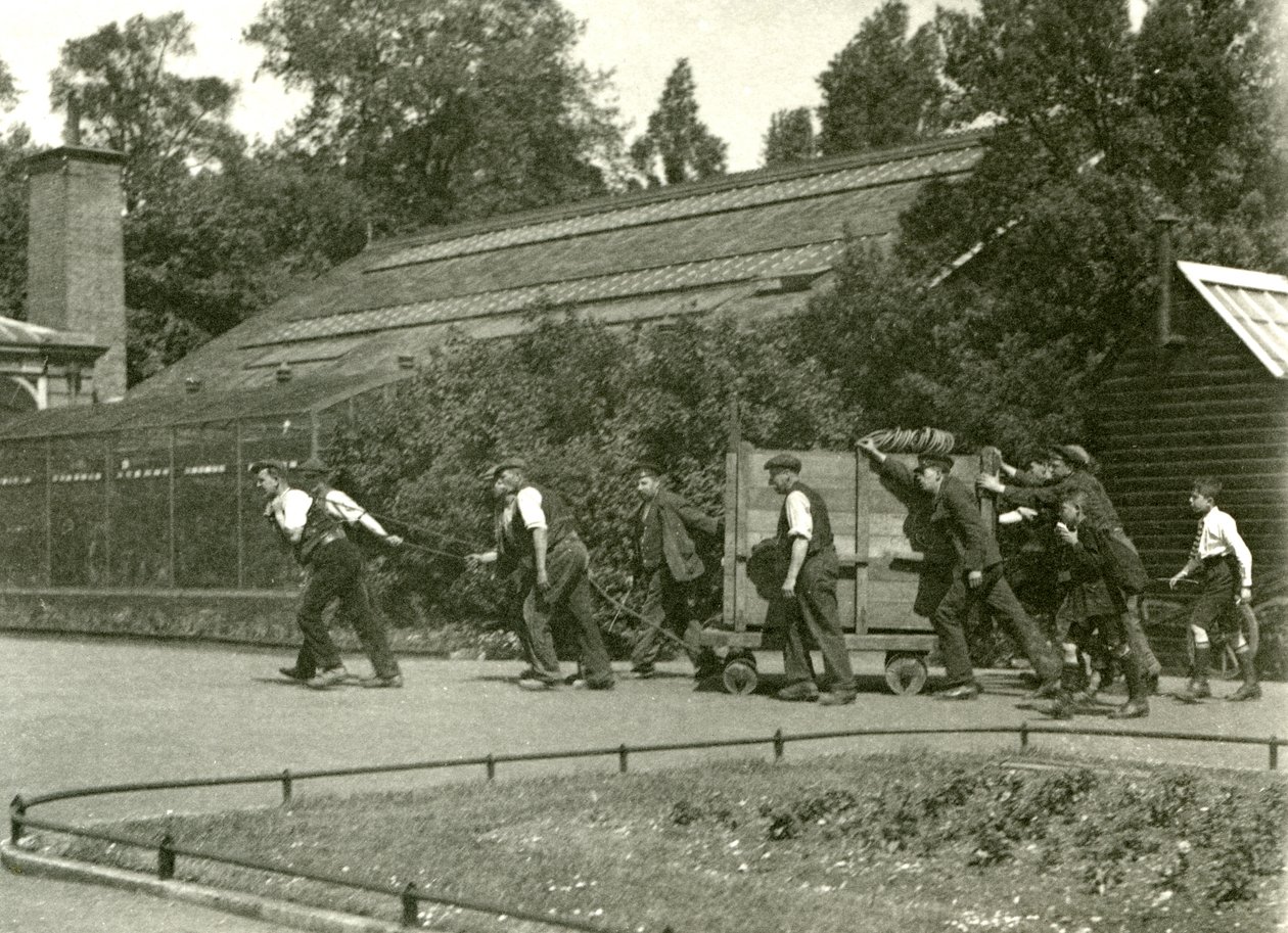Et hold mænd flytter leoparden i en trækasse, efterfulgt af to drenge, London Zoo, 1922 (bw foto) af Frederick William Bond