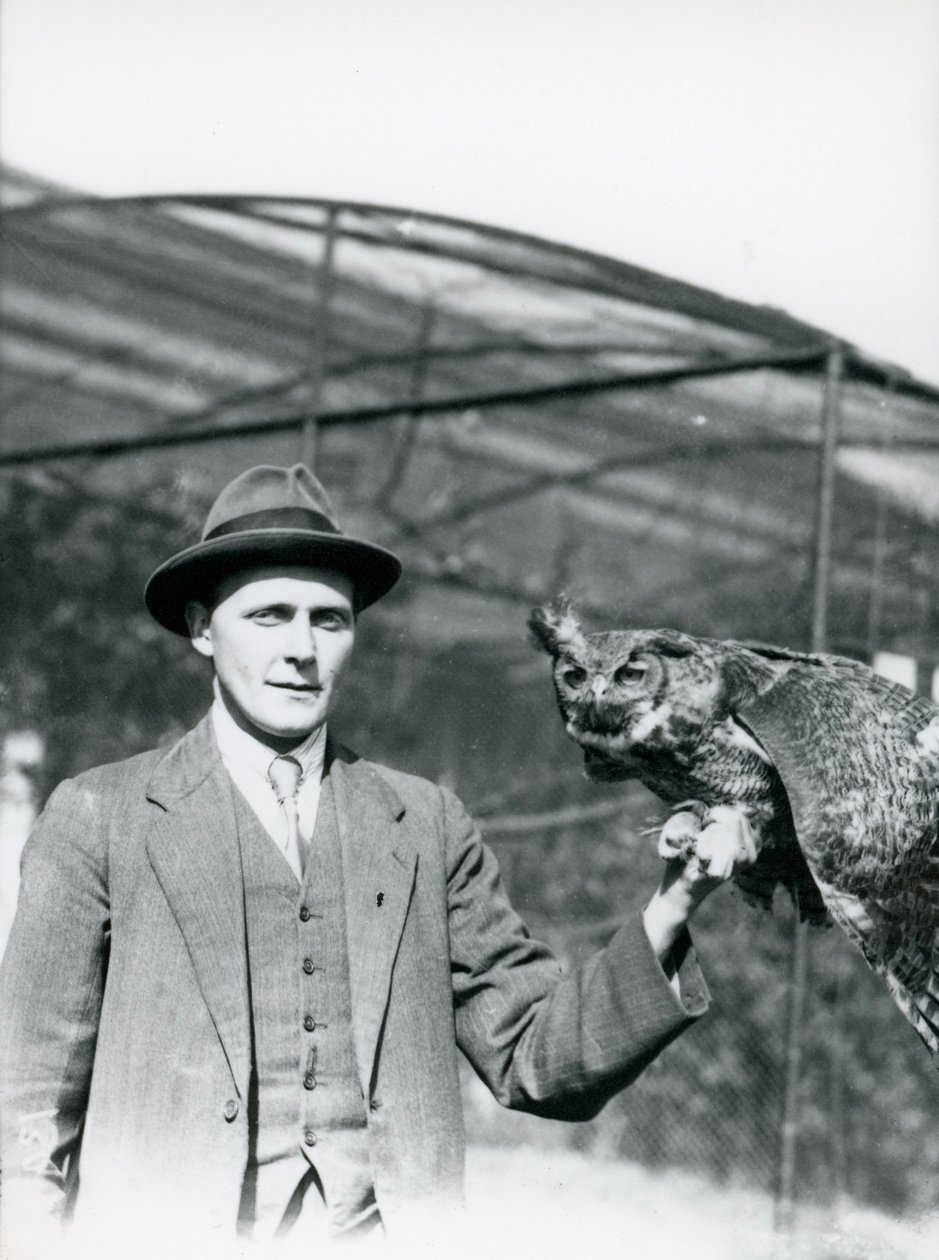En ørneugle holdt af J. Bailey, fugleovervåger i London Zoo i tredive år. juni 1920 af Frederick William Bond