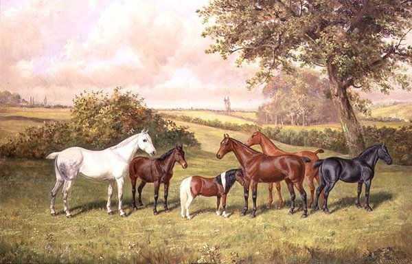 En gruppe ponyer af Frederick Albert Clark