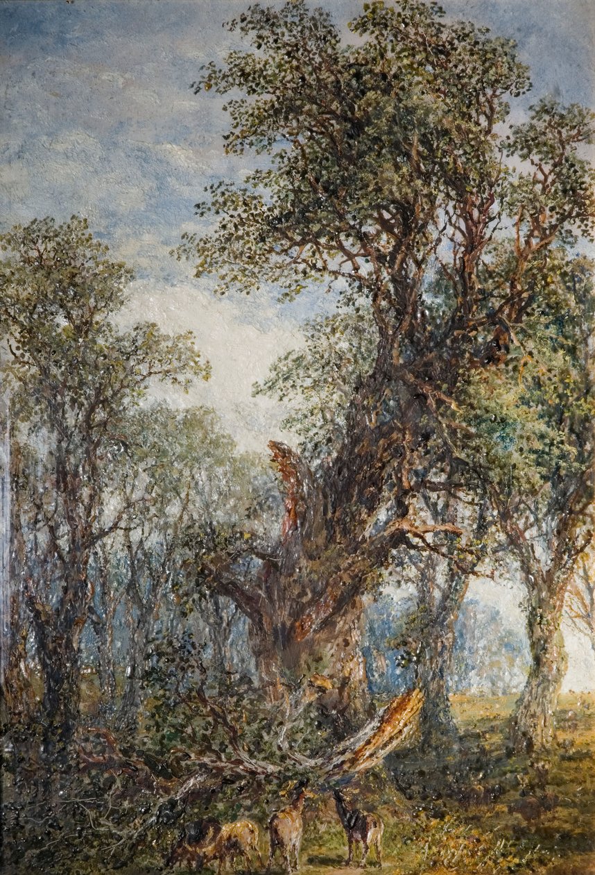 The Broken Bough, 1881. af Frederick Henry Henshaw