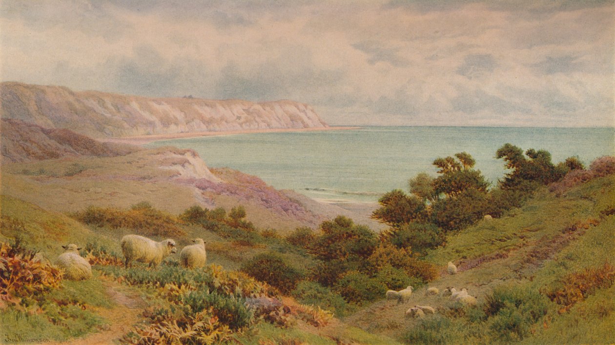 The Warren, Folkestone