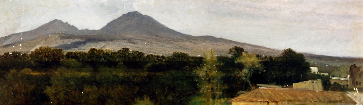 Vesuvs omgivelser af Frederico Rossano