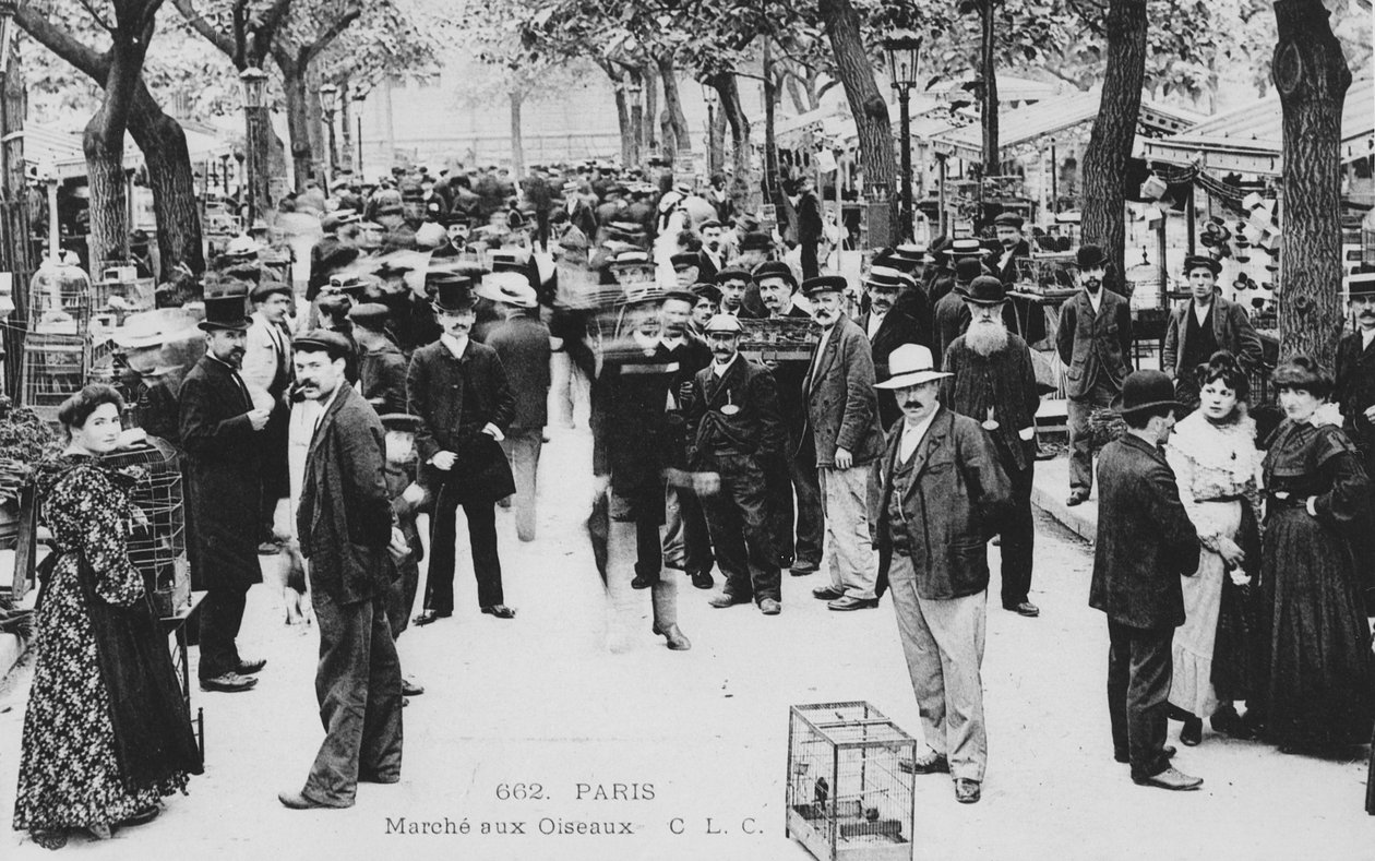 Fuglemarked, Paris af French Photographer