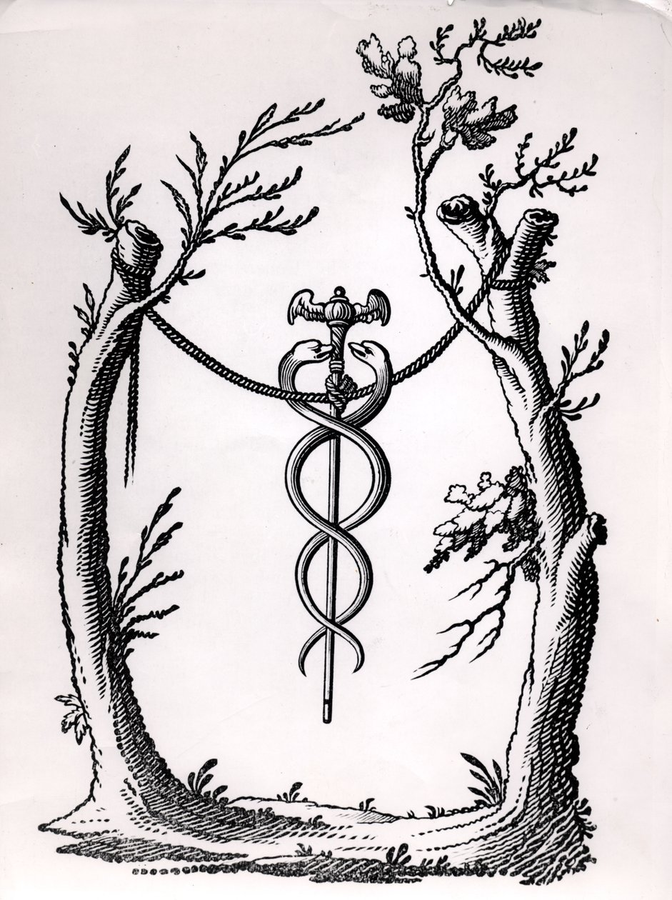 I Caduceus af French School