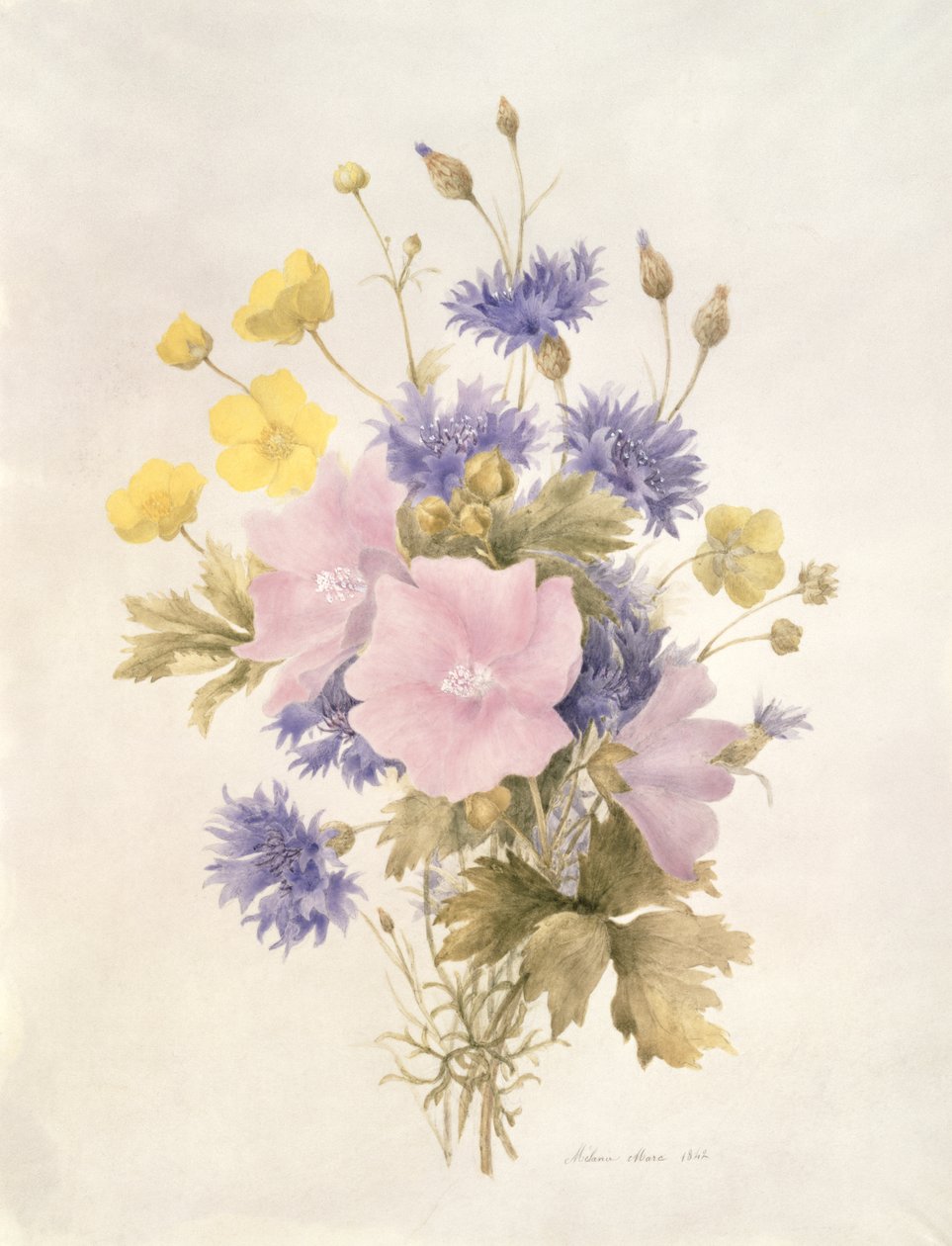 Markblomster, 1842 (wc på papir) af French School