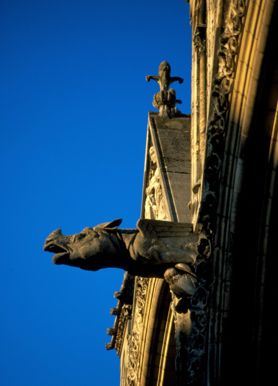 Gargoyle of Laon Cathedral i Aisne (02) af French School