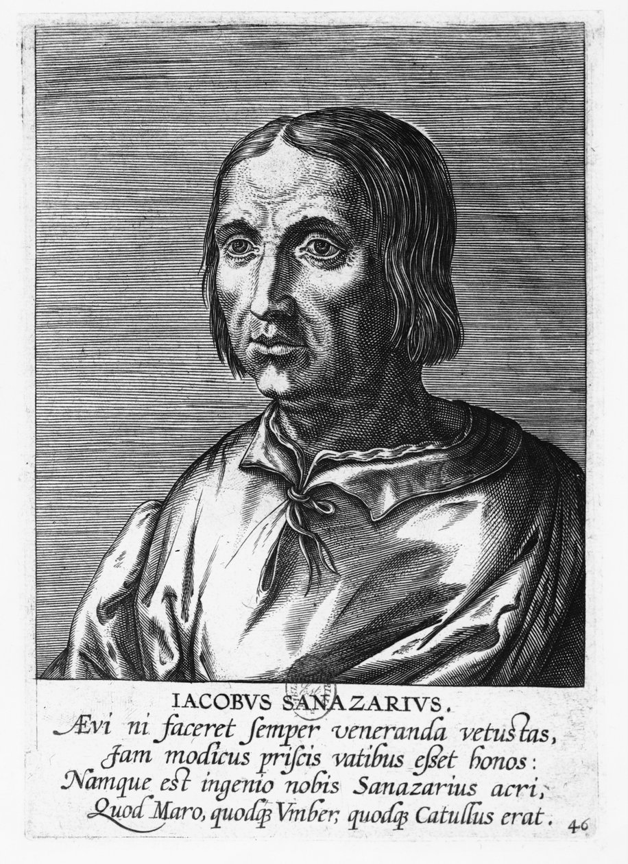 Jacopo Sannazaro (gravering) af French School