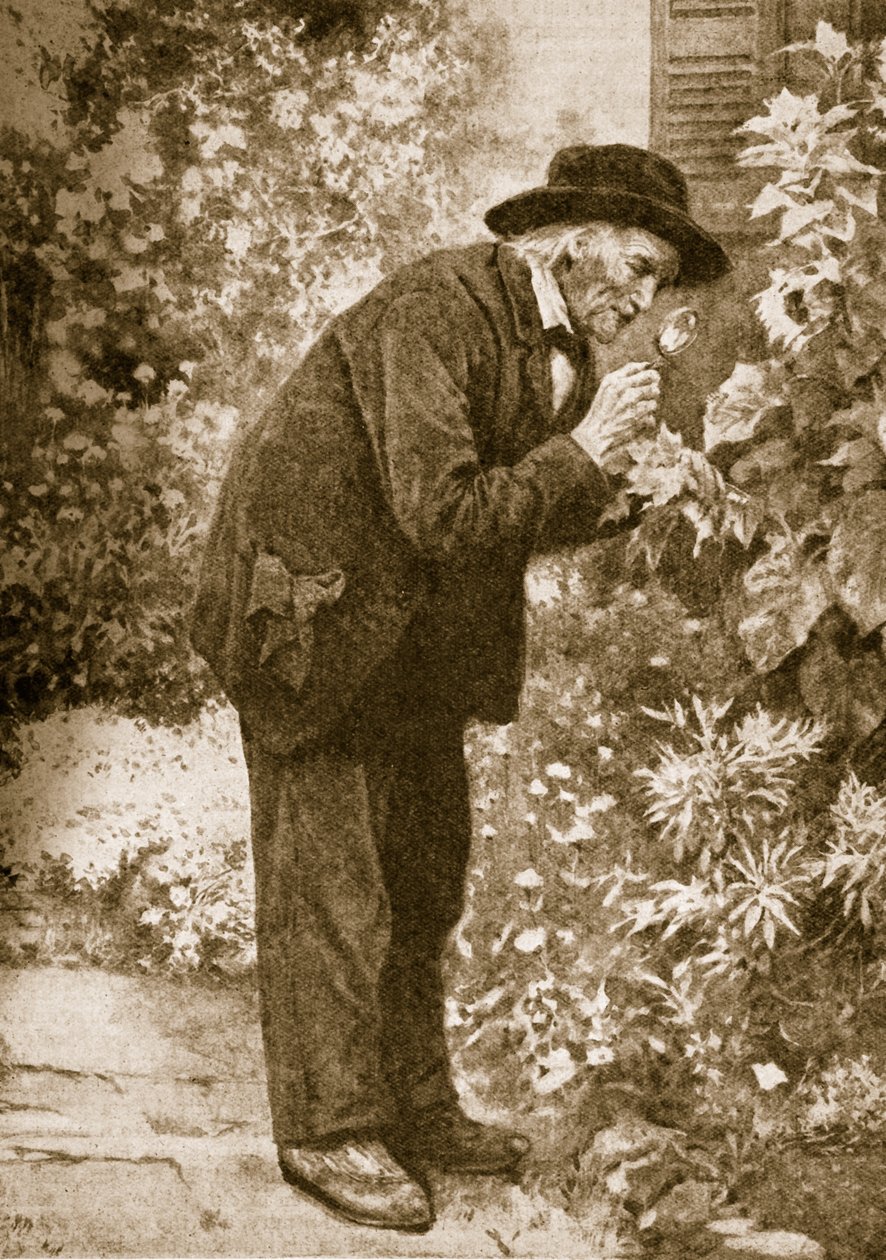 Jean-Henri Fabre observerer insekter af French School