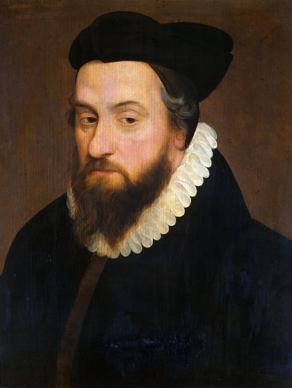 Laurent Joubert (1529-83) af French School