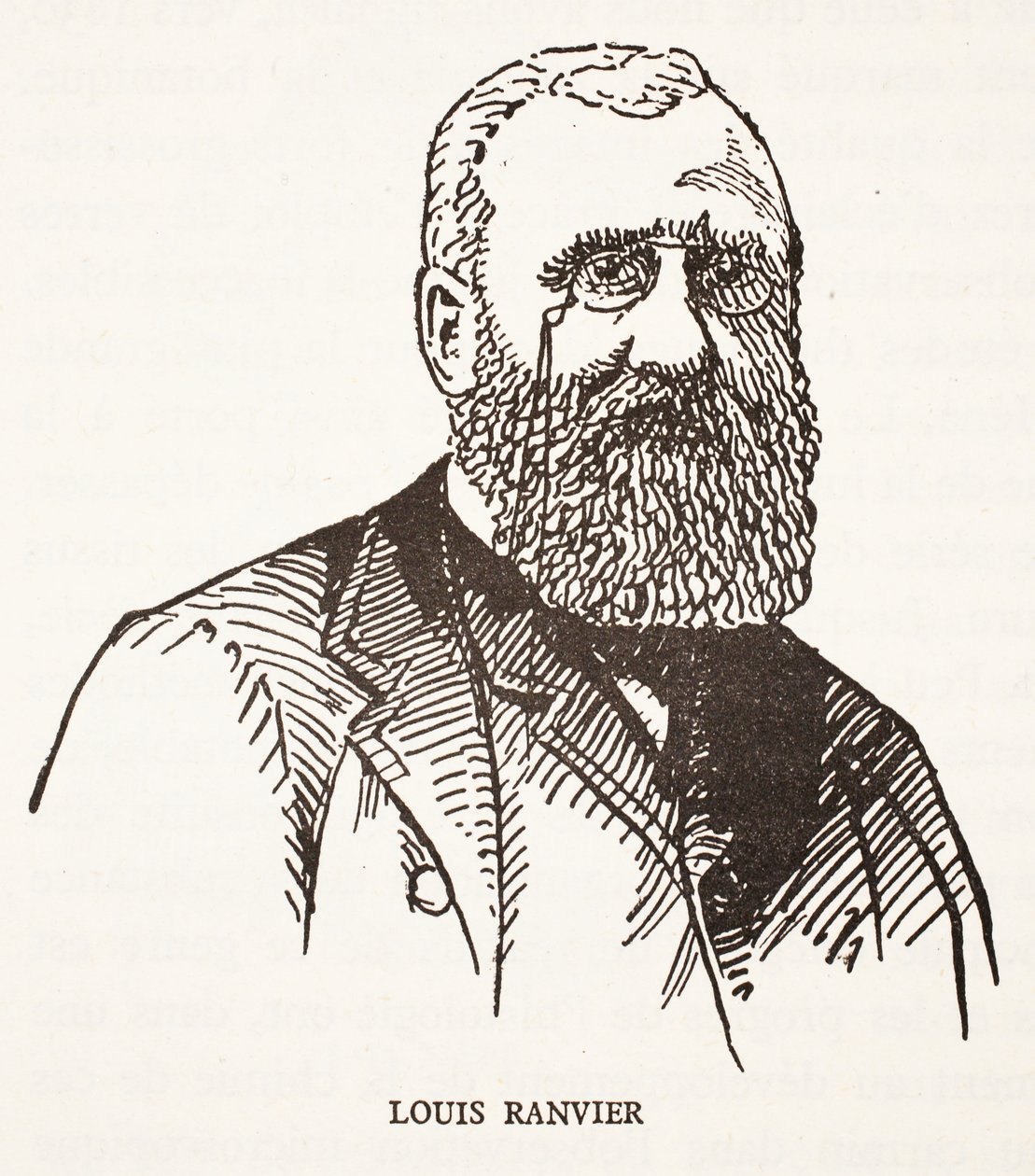 Louis Ranvier af French School