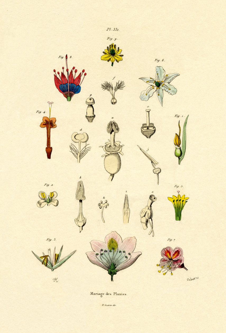 Plant Breeding, 1833-39dani af French School
