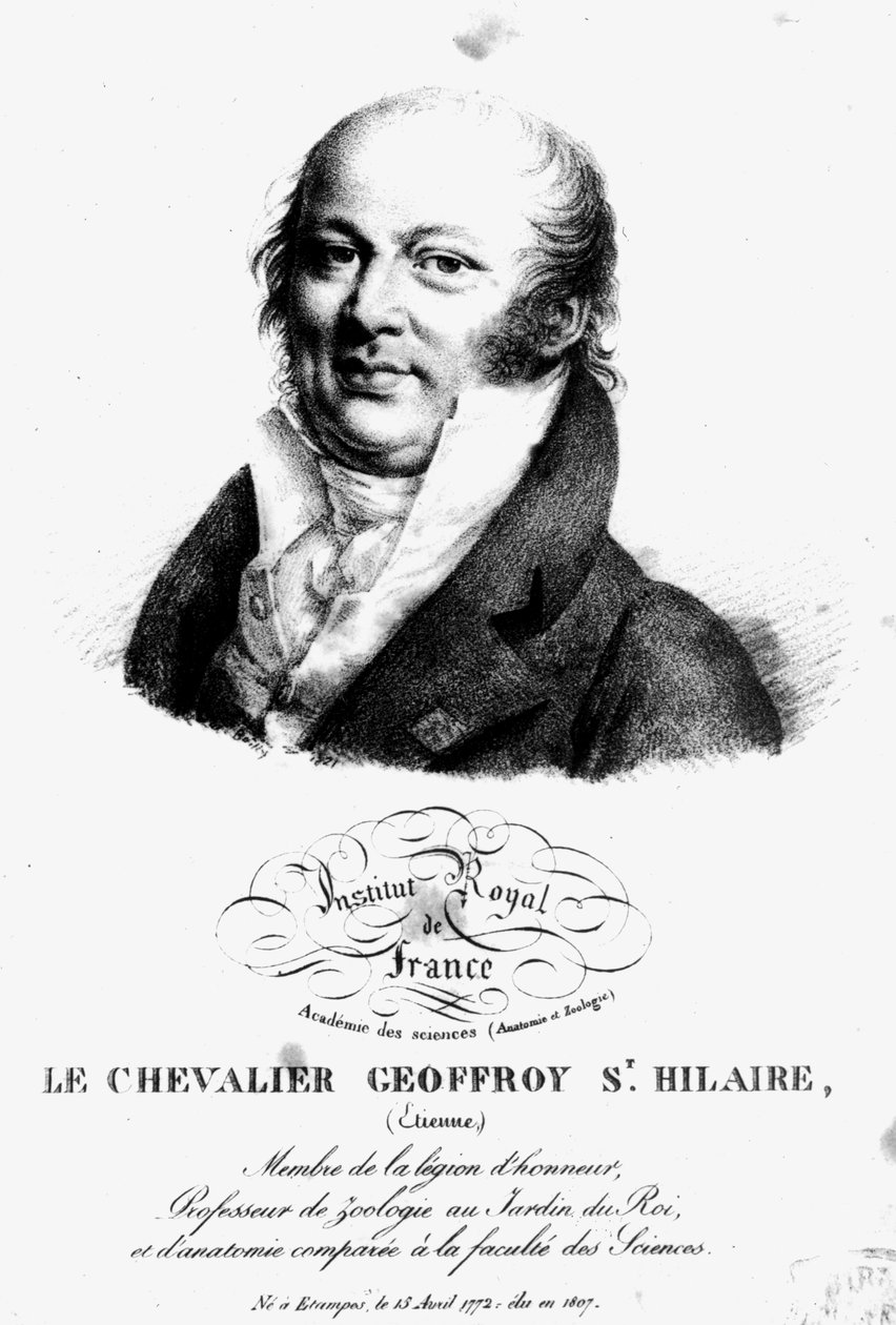 Portræt af Etienne Geoffroy Saint-Hilaire (1722-1844) af French School