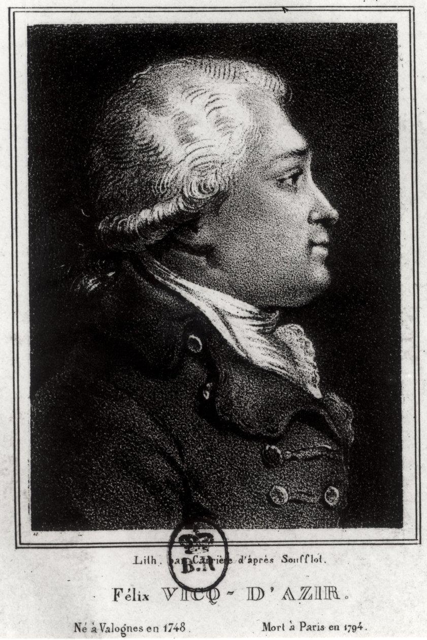 Portræt af Felix Vicq dAzyr (1748-94) af French School