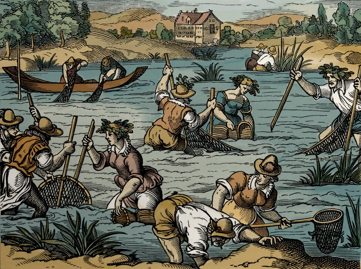 River Fishing, fra 1584 (gravering) af French School