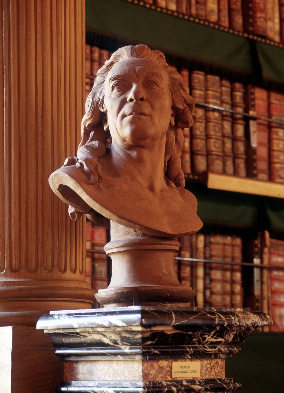 Statue af Buffon, Mazarine Library. af French School