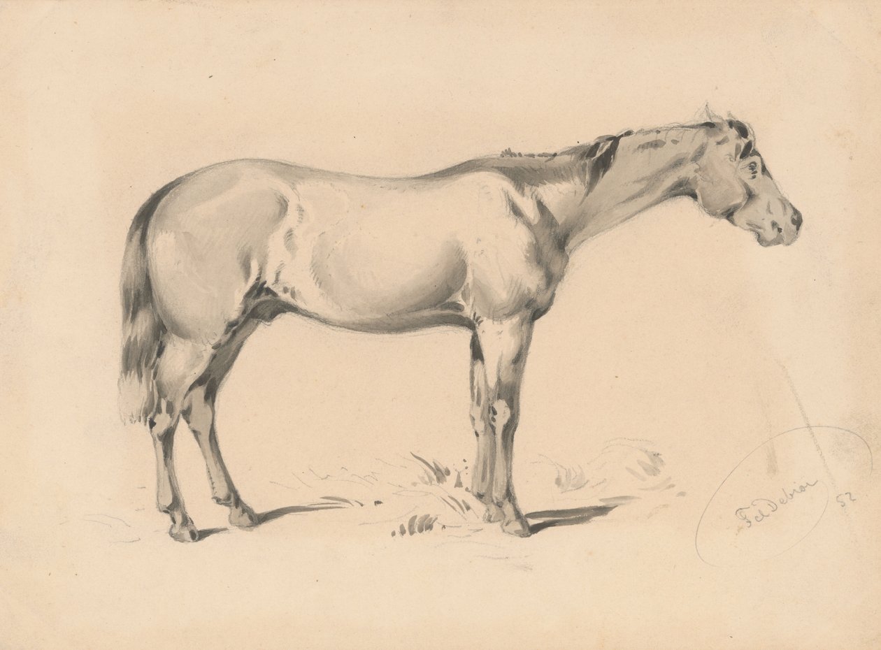 Studie af en hest I af Friedrich Carl von Scheidlin