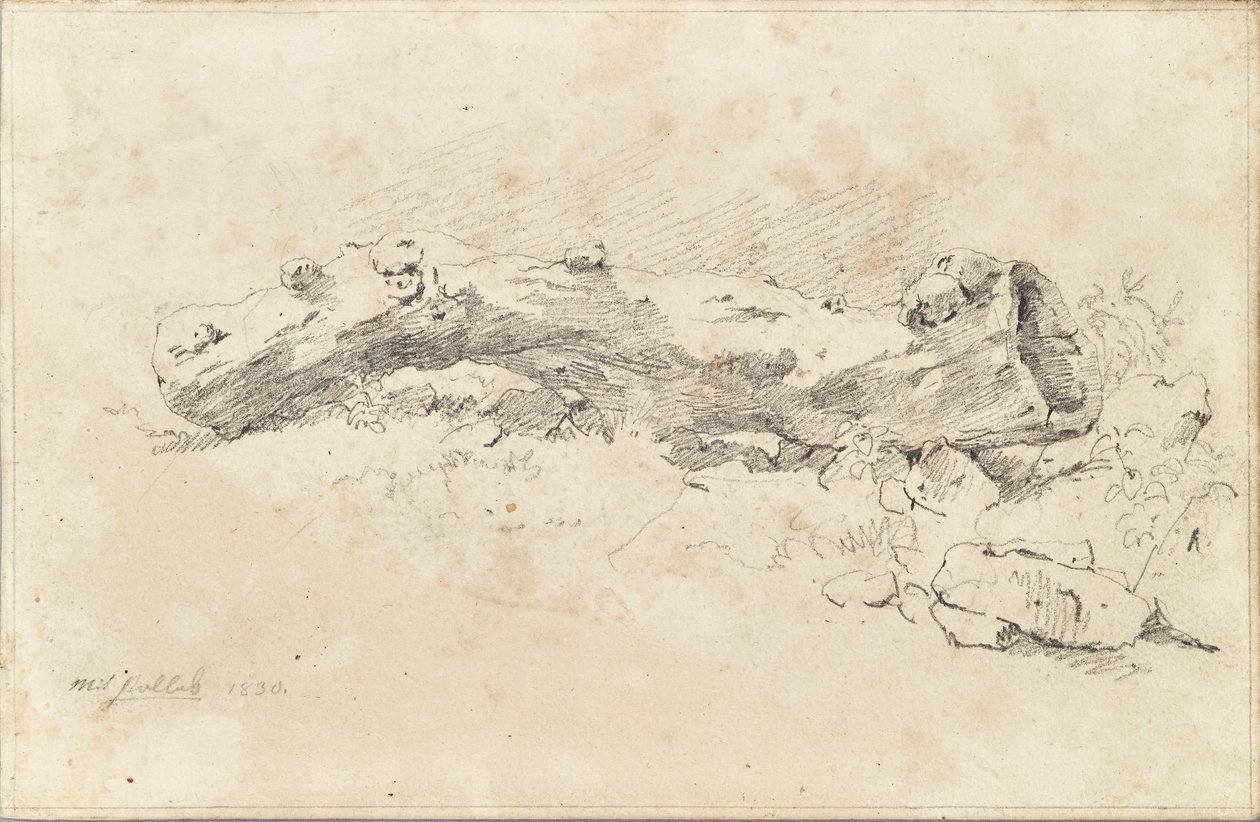 Liggende hul træstamme af Friedrich August Mathias Gauermann