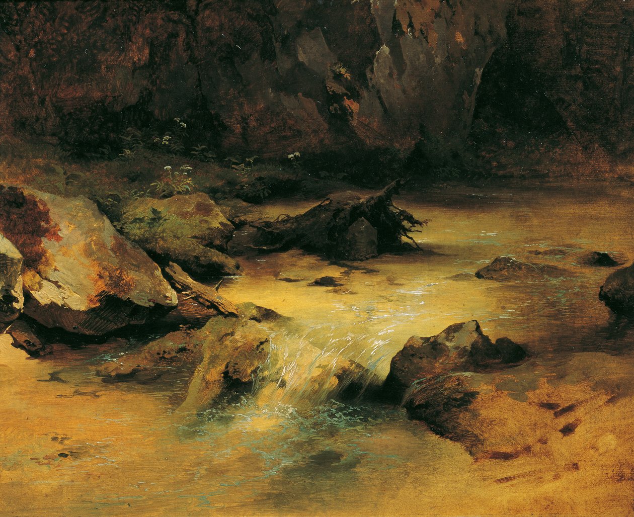 Wildbach af Friedrich August Mathias Gauermann