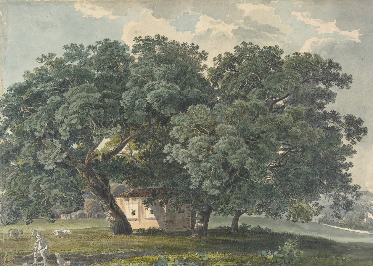 Italiensk landskab med træer recto, 1815-21. af Friedrich Salathé