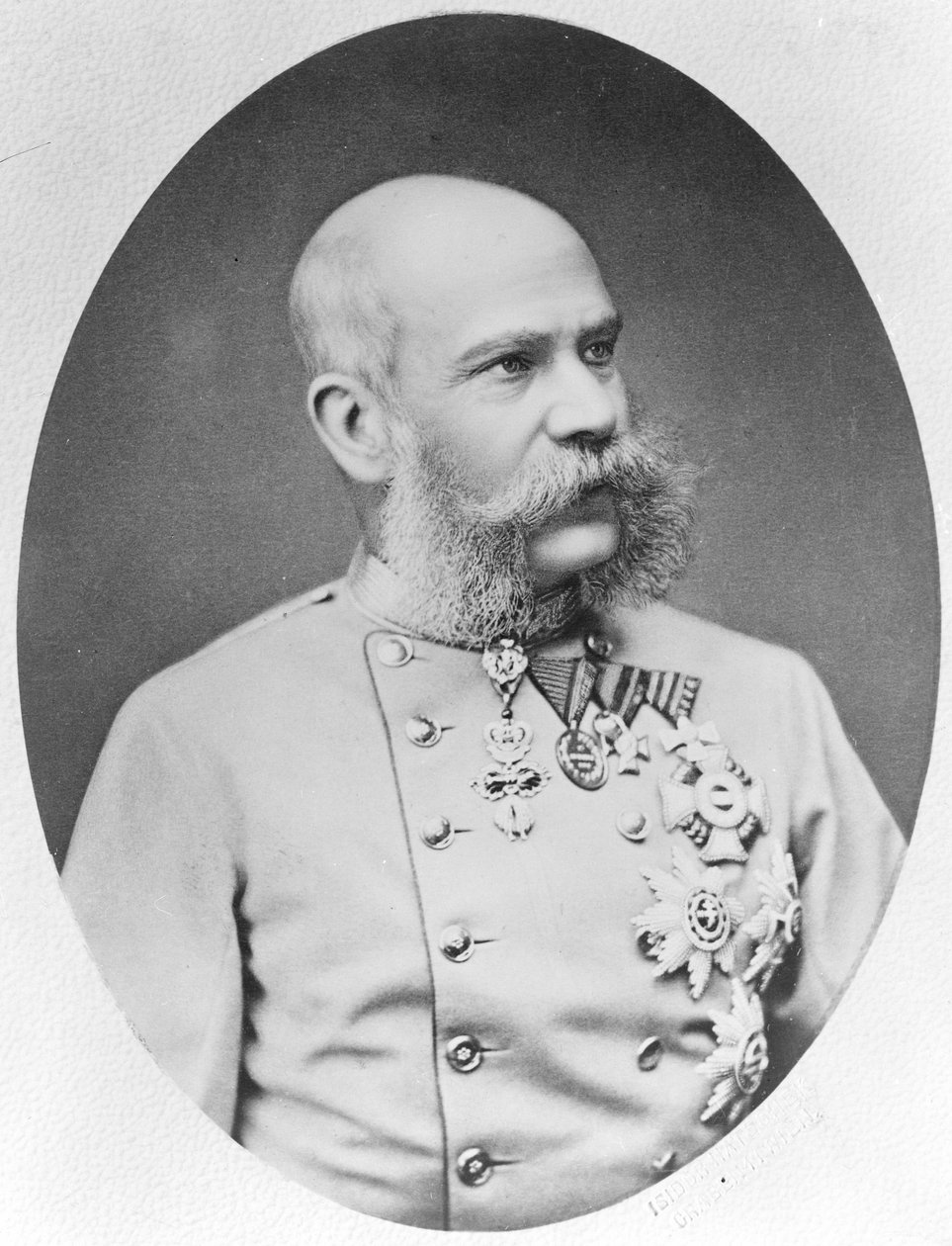 Franz Joseph I af Fritz Luckhardt