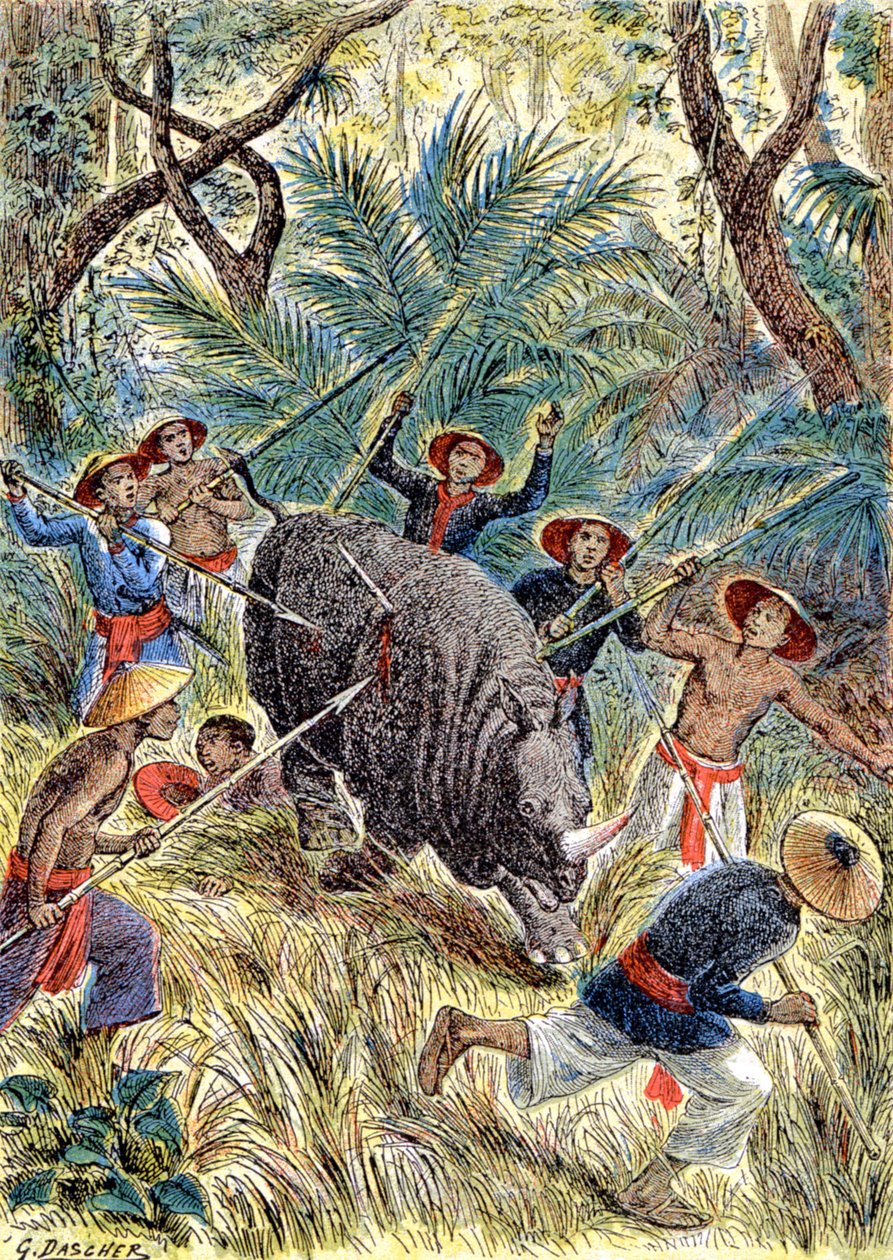 Jagt på næsehorn, Fransk Indokina, ca. 1900 (illustration) af G. Dascher