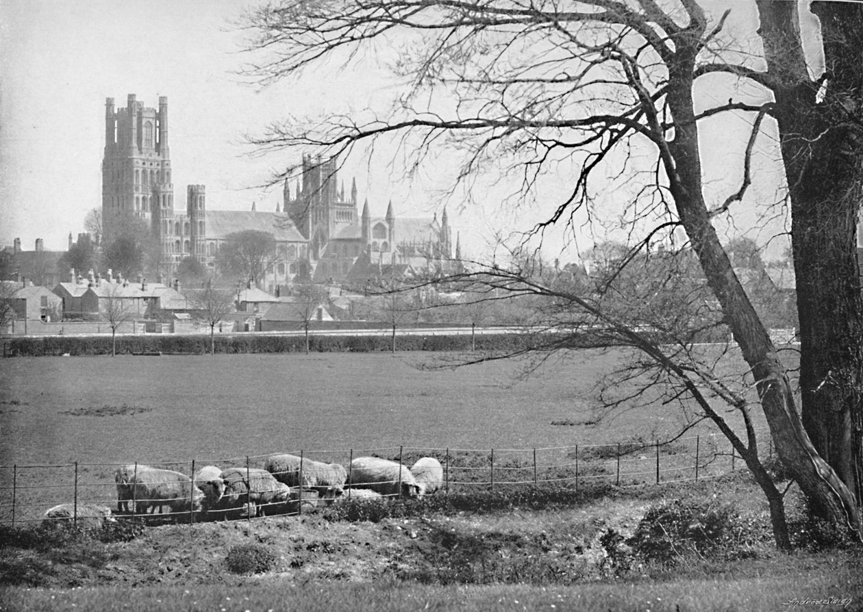 Ely Cathedral, c1896 af G. W. Wilson and Company