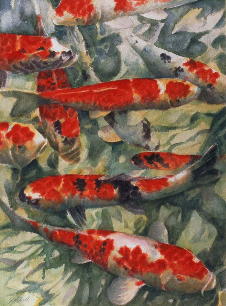 Koi karper af Gareth Lloyd Ball
