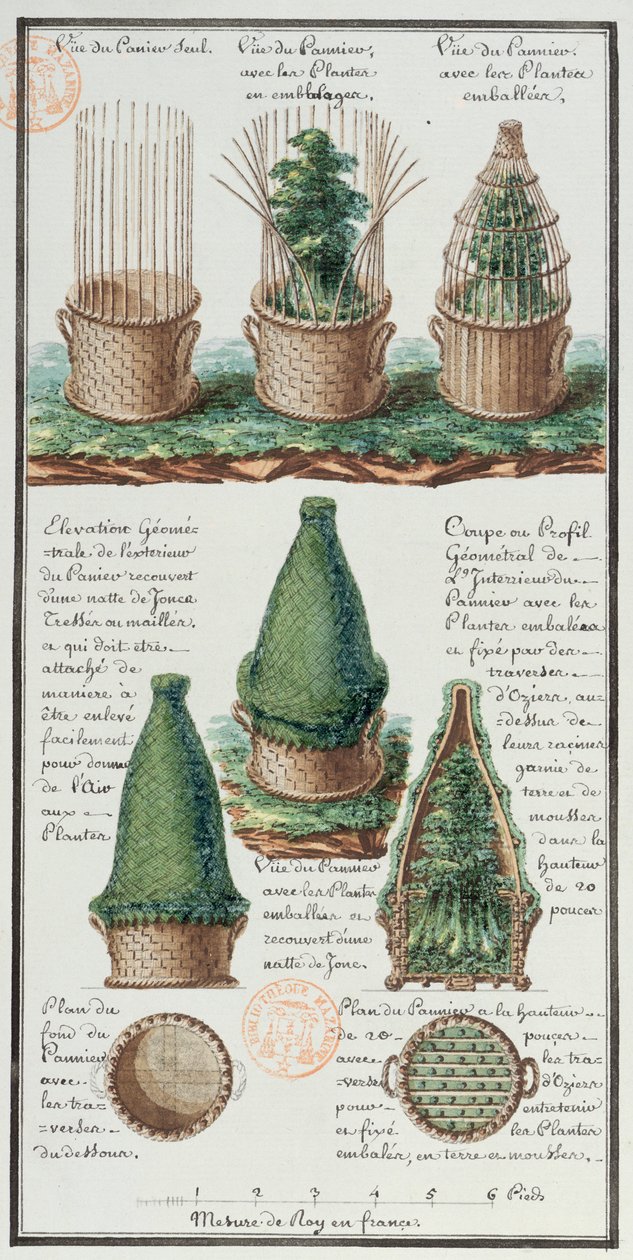 Illustration af en vævet kurv til transport af planter, fra kunstnerens notesbog lavet under Jean-Francois Gallup de la Perouses (1741-88) ekspeditioner (pen og blæk og wc på papir) af Gaspard Duche de Vancy