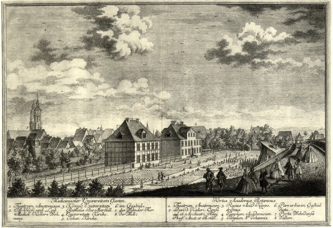 Göttingen gamle botaniske have af Georg Daniel Heumann