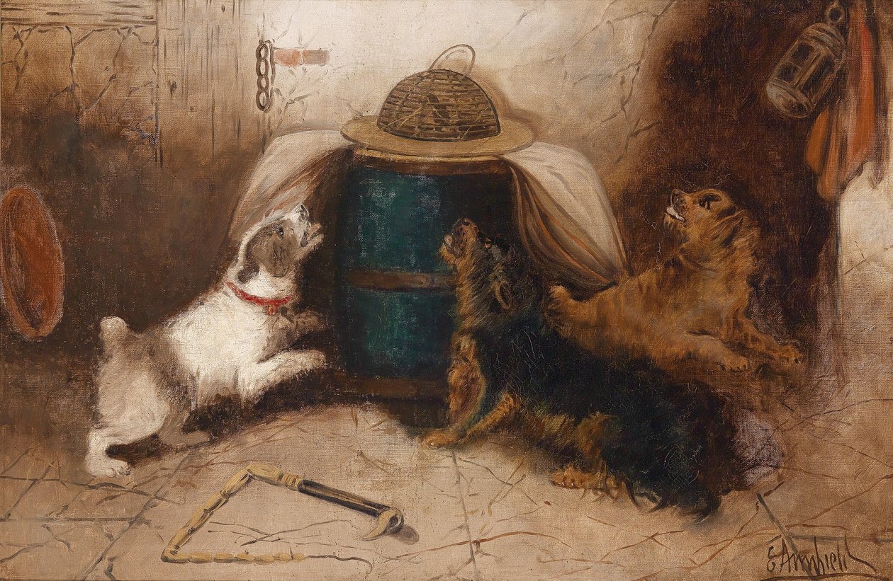 Tre hunde, der gøer på en mus af George Armfield
