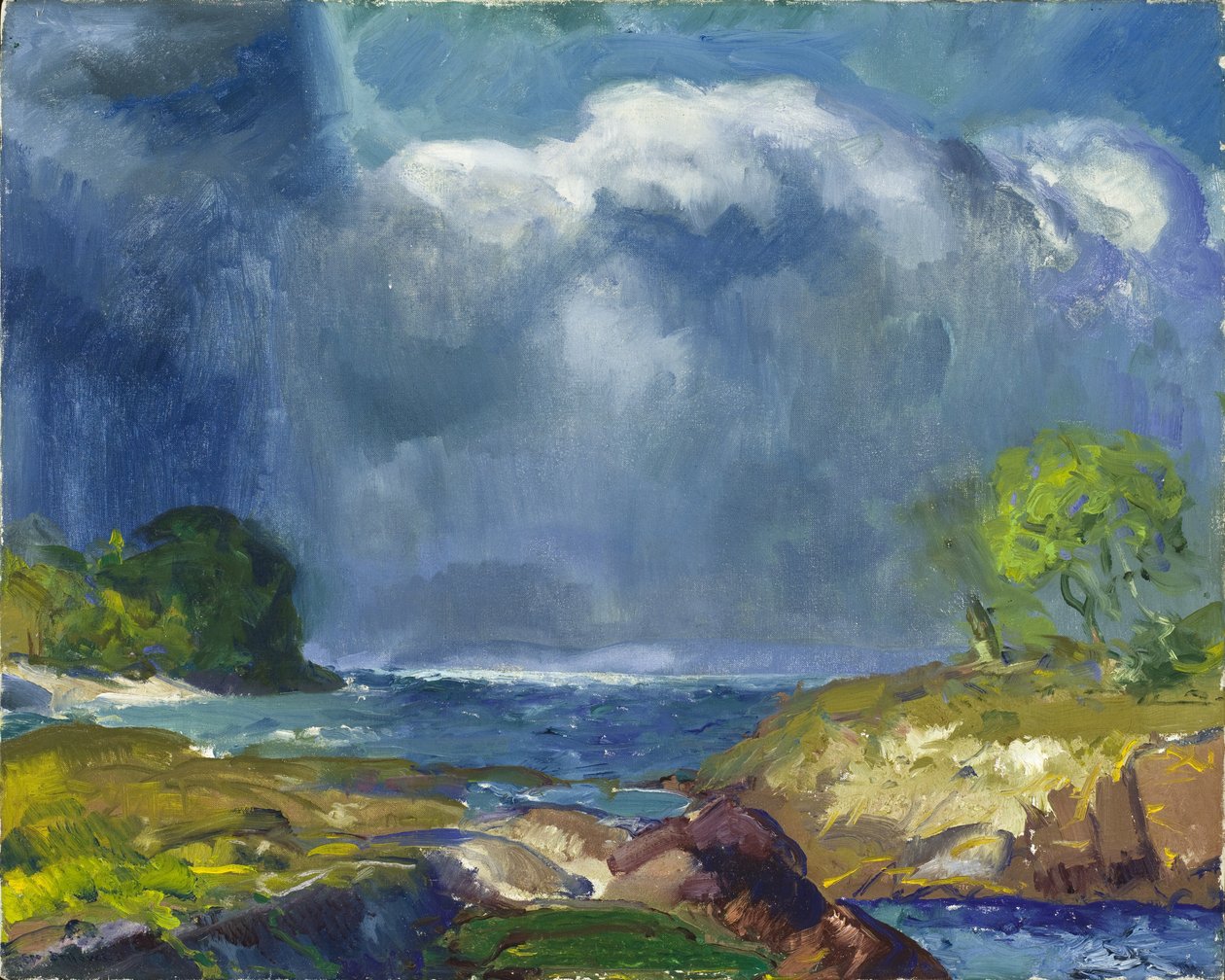 Stormhavet af George Wesley Bellows