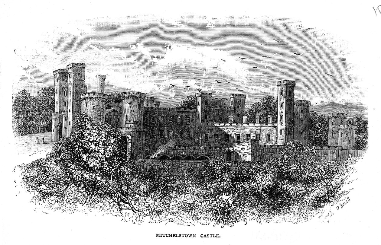 Mitchelstown Castle, graveret af D. Small af George Butterworth