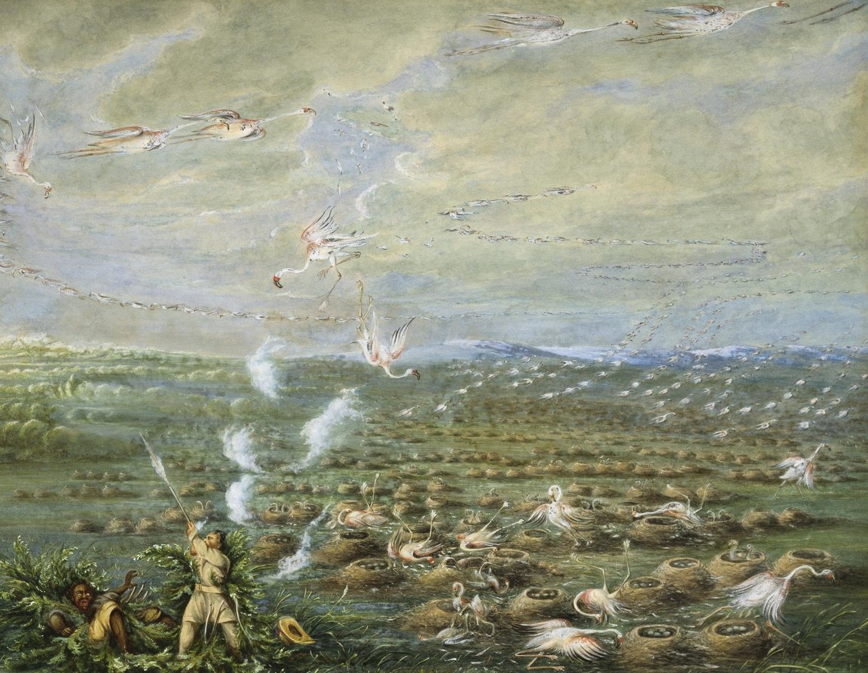 Flamingo skydning i Sydamerika af George Catlin