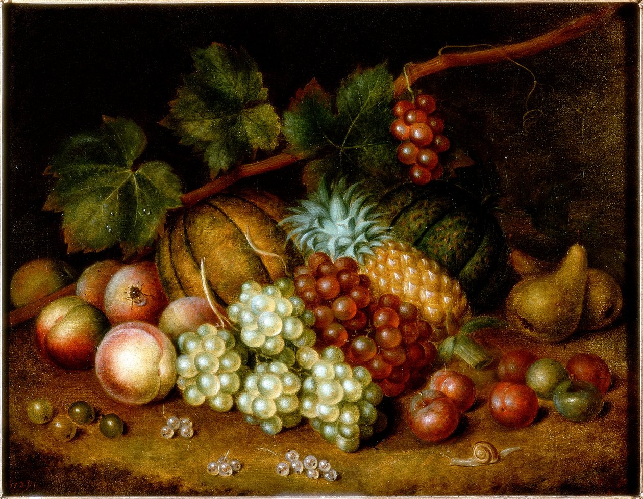 Studie af frugt af George Gray
