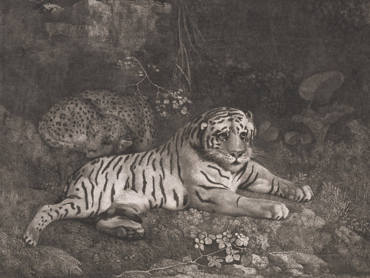 En tiger og en sovende leopard af George Stubbs