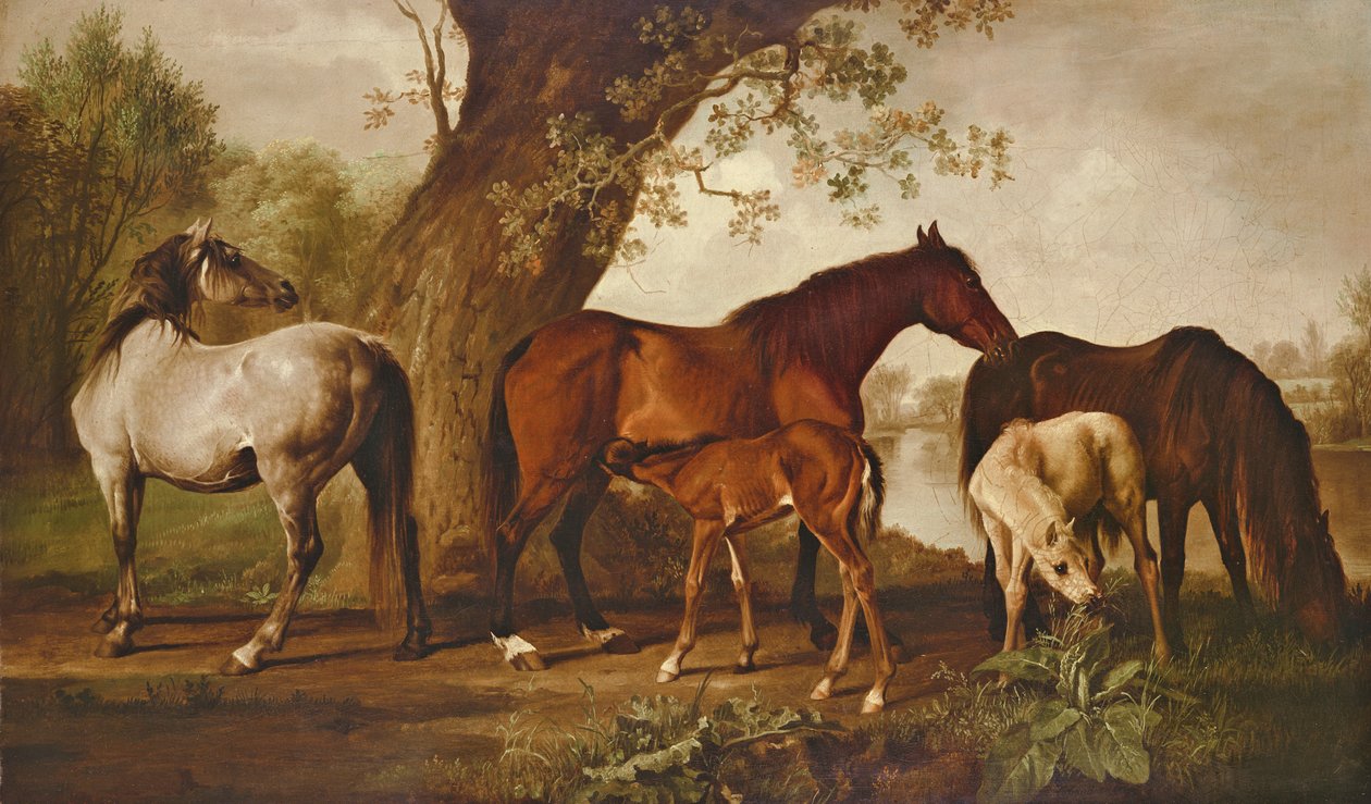 Hoppe og føl af George Stubbs