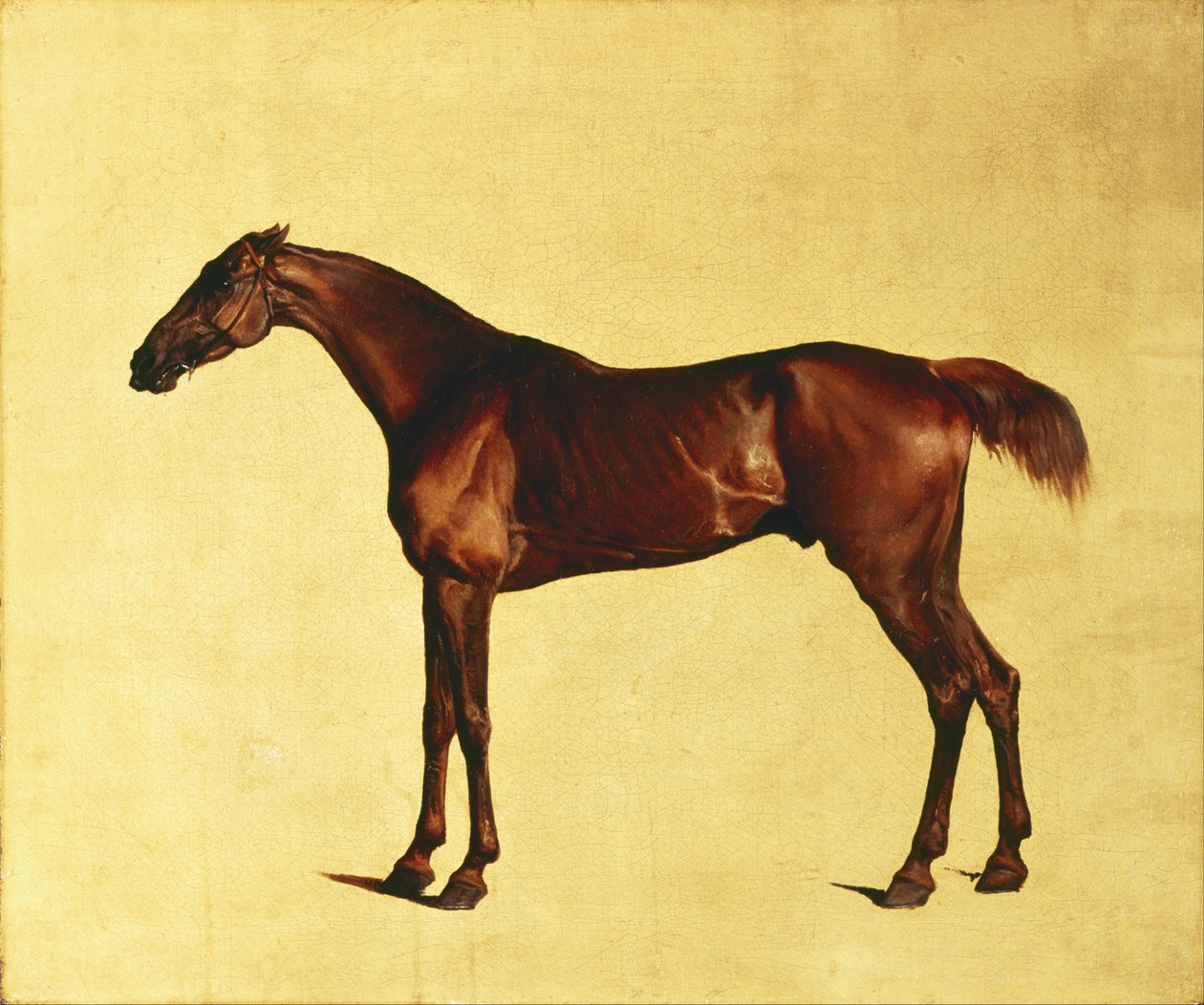 Pangloss af George Stubbs