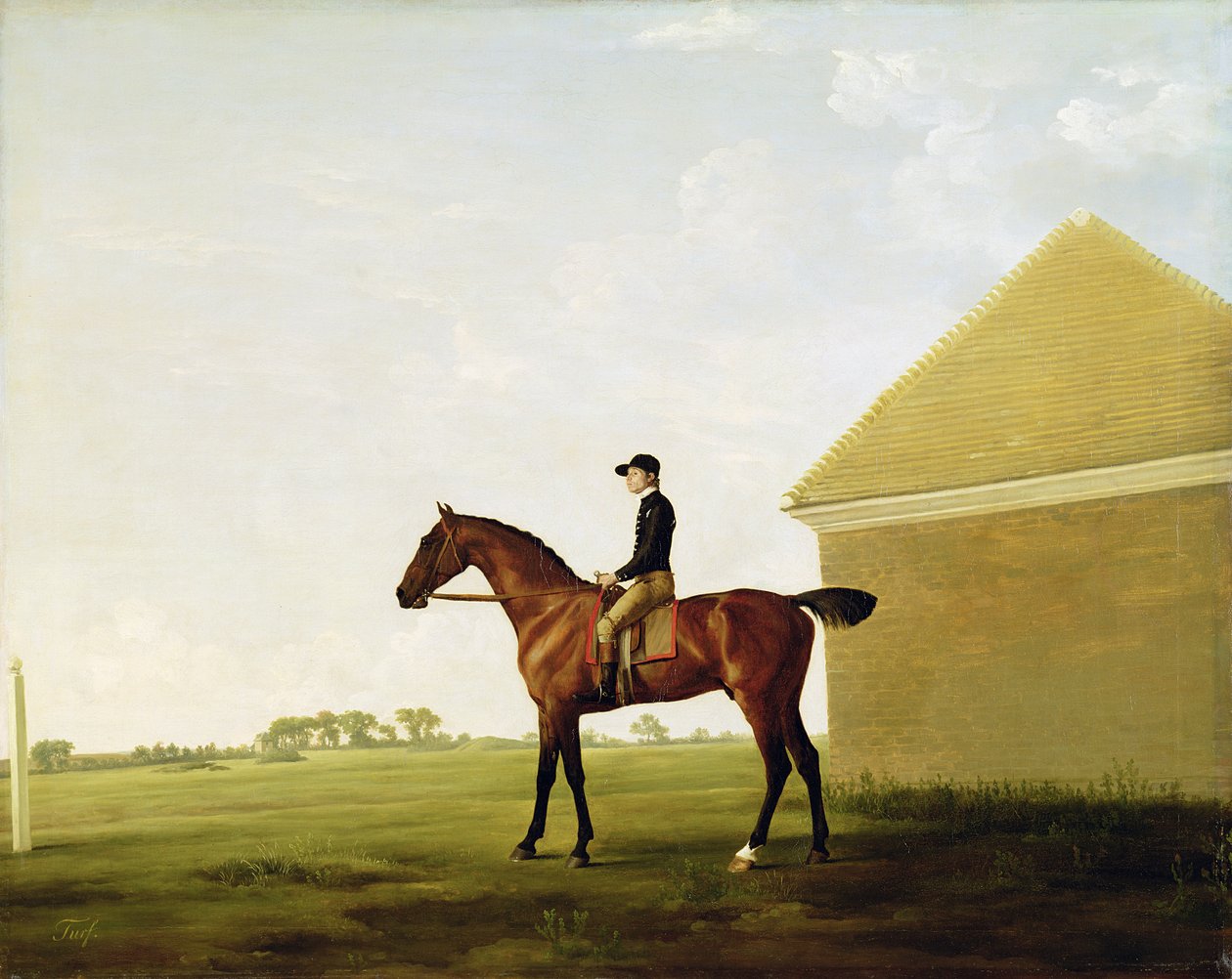 Turf, ca. 1765 (se 152743) af George Stubbs