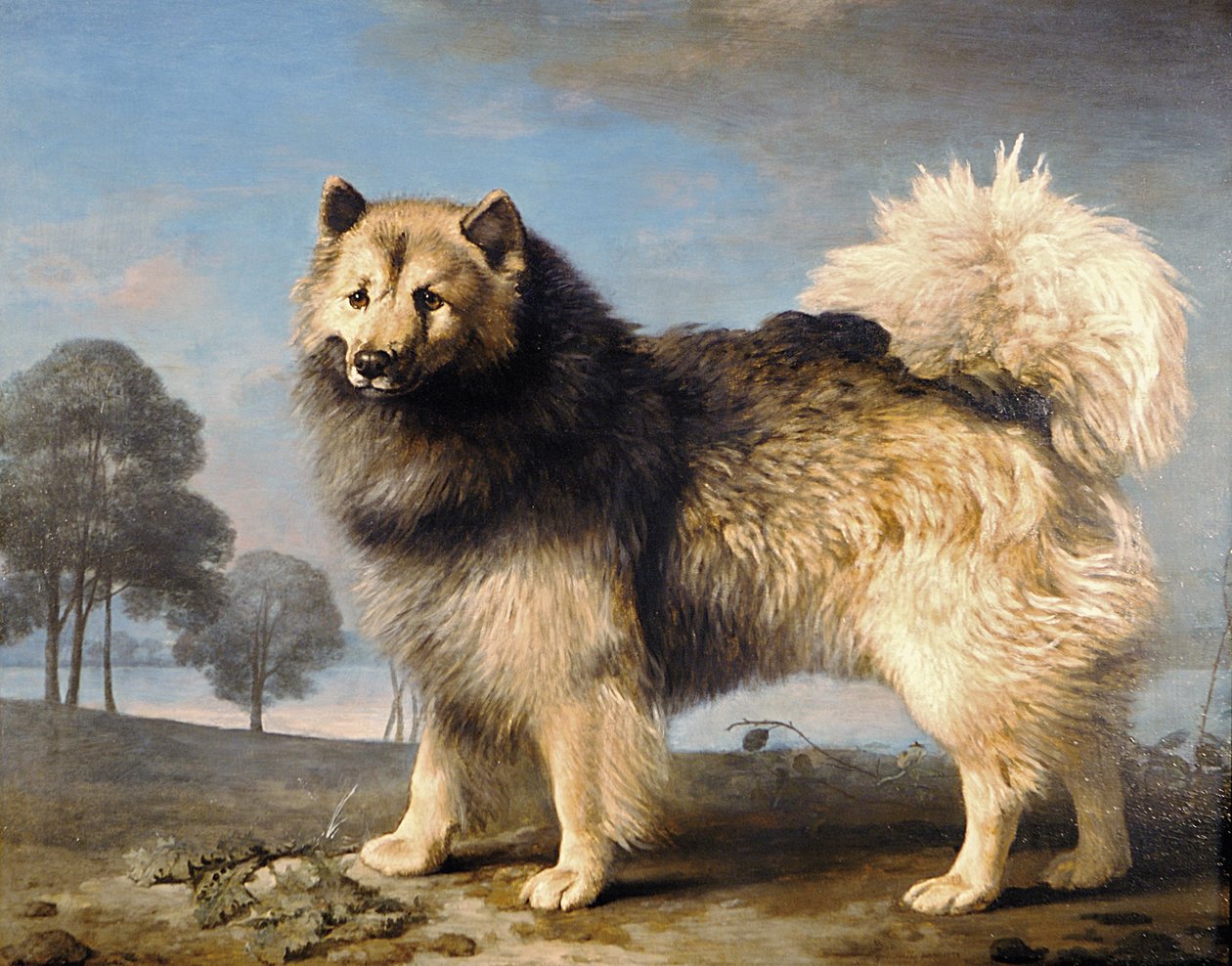 Turk, 1778 af George Stubbs